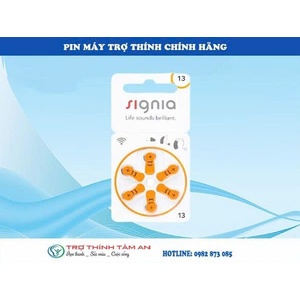 Pin 13